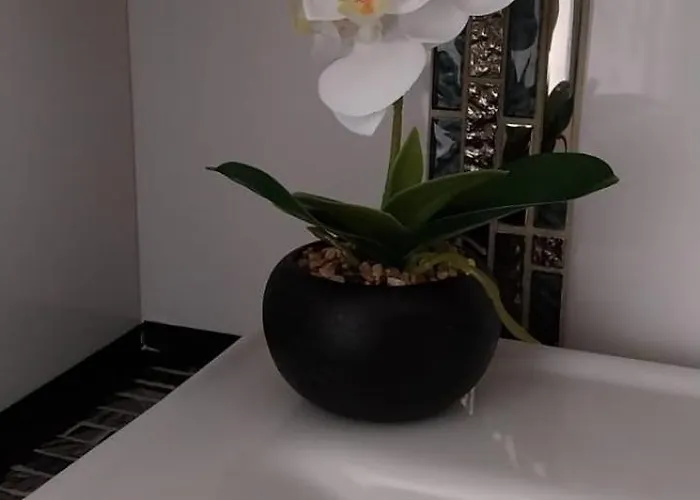 La Casa De Grace Apartament *